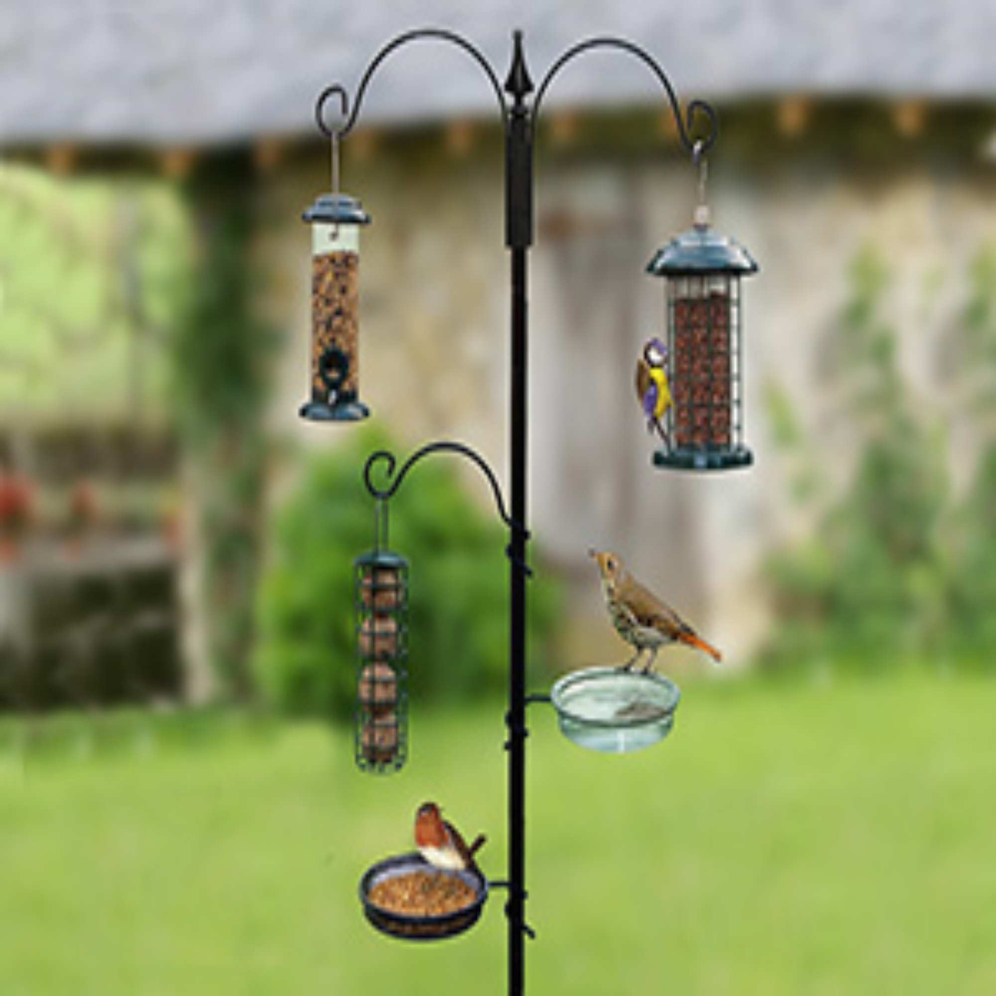 Wild Bird Feeding Station Bird Feeders Seed John Chambers