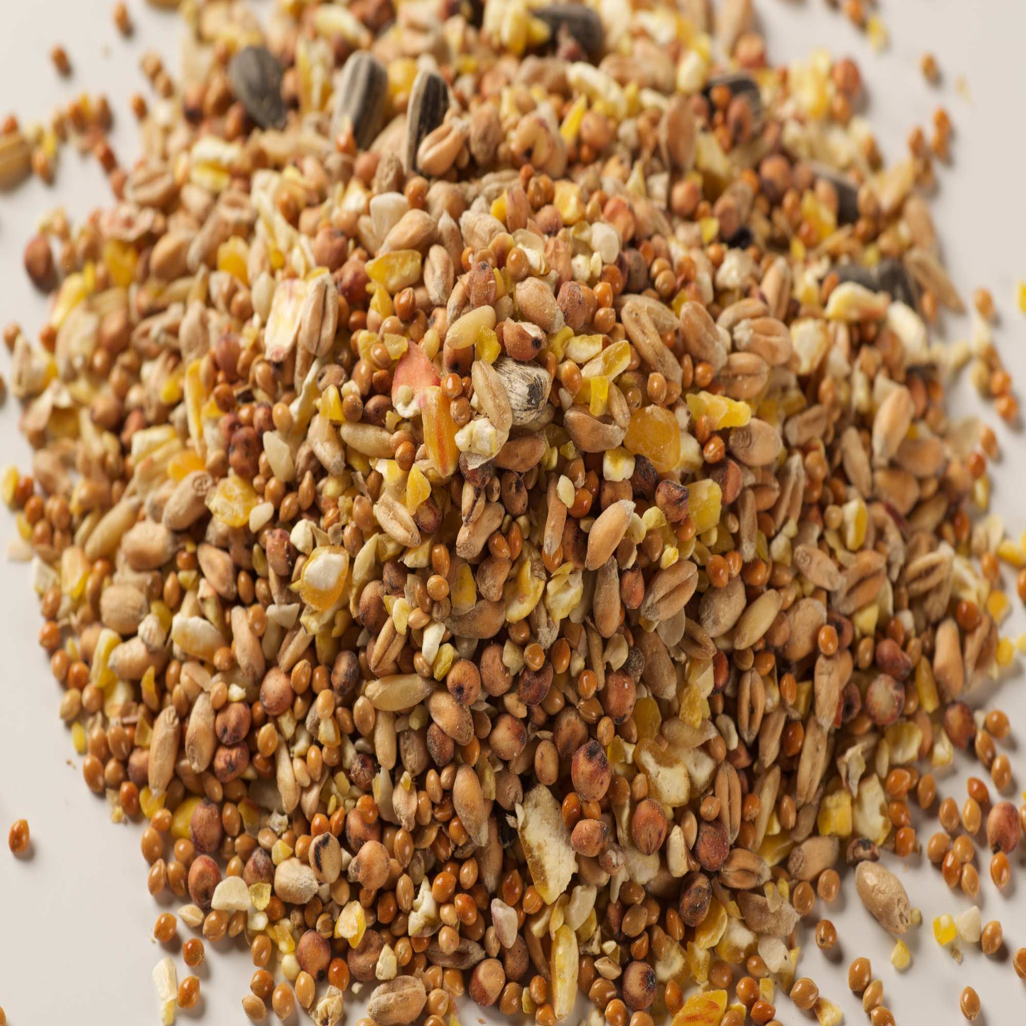 John Chambers Premium Wild Bird Food - Bird Feeders & Seed | John Chambers 