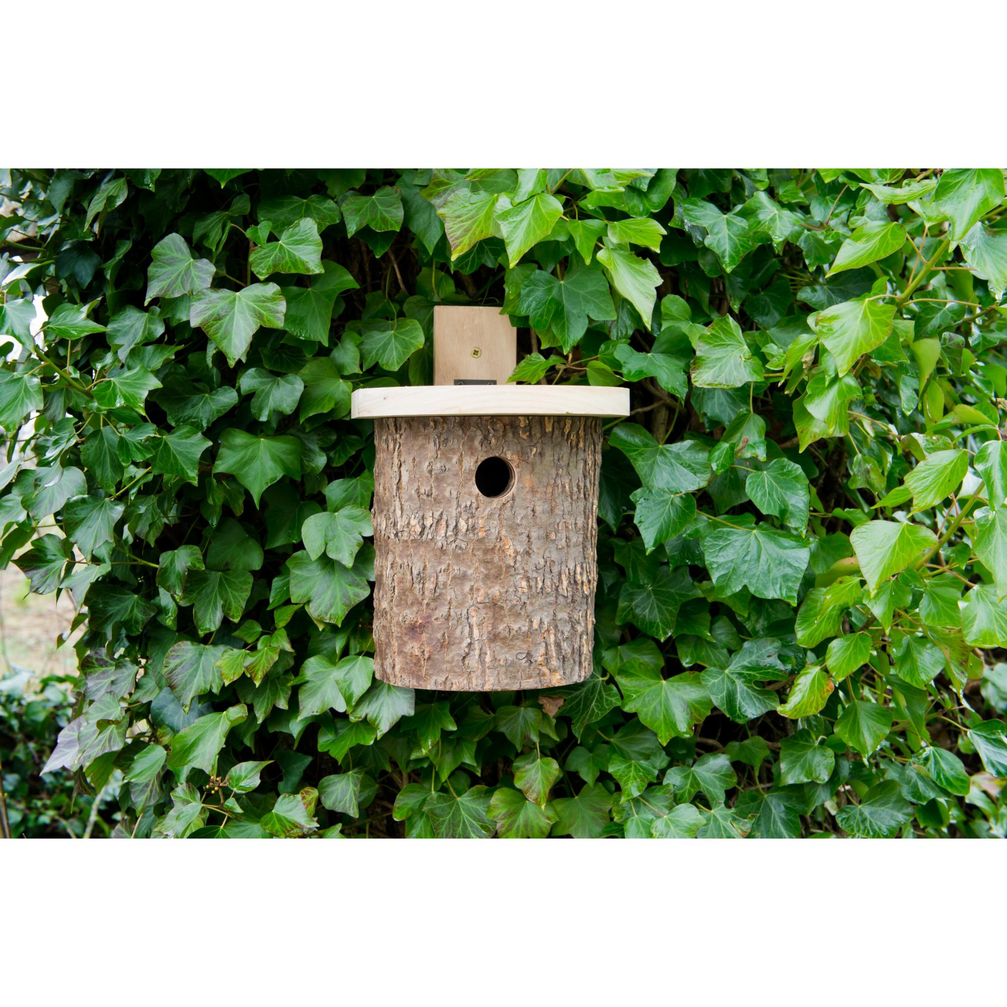 Natural Log Tit Nesting Box - Bird Nesting Boxes 