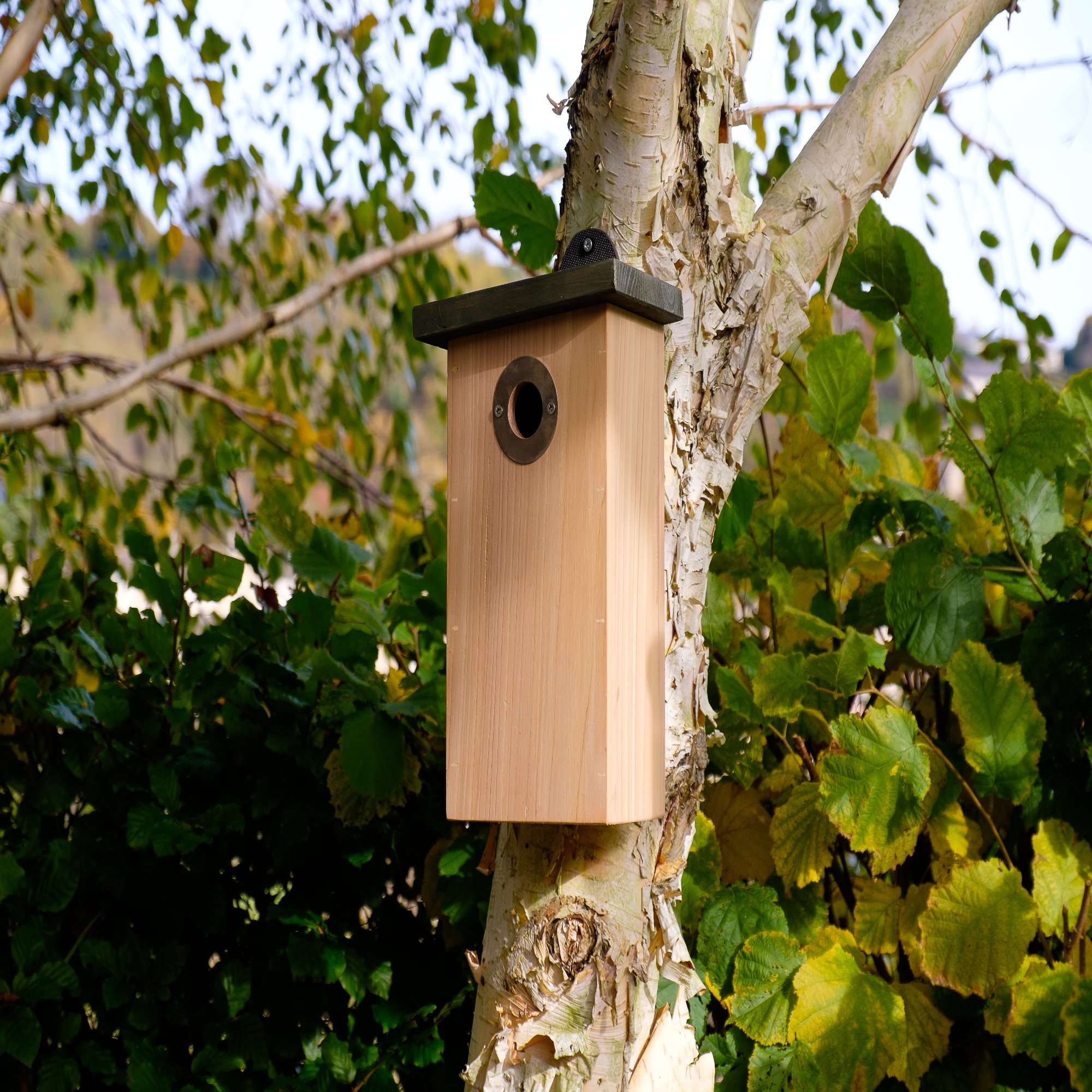 Predator Resist Nestbox Bird Box - Bird Nesting Boxes | John Chambers