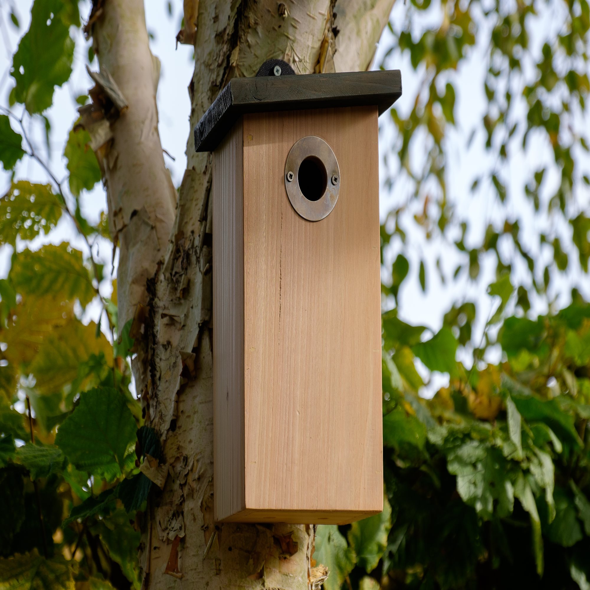 Predator Resist Nestbox Bird Box - Bird Nesting Boxes | John Chambers