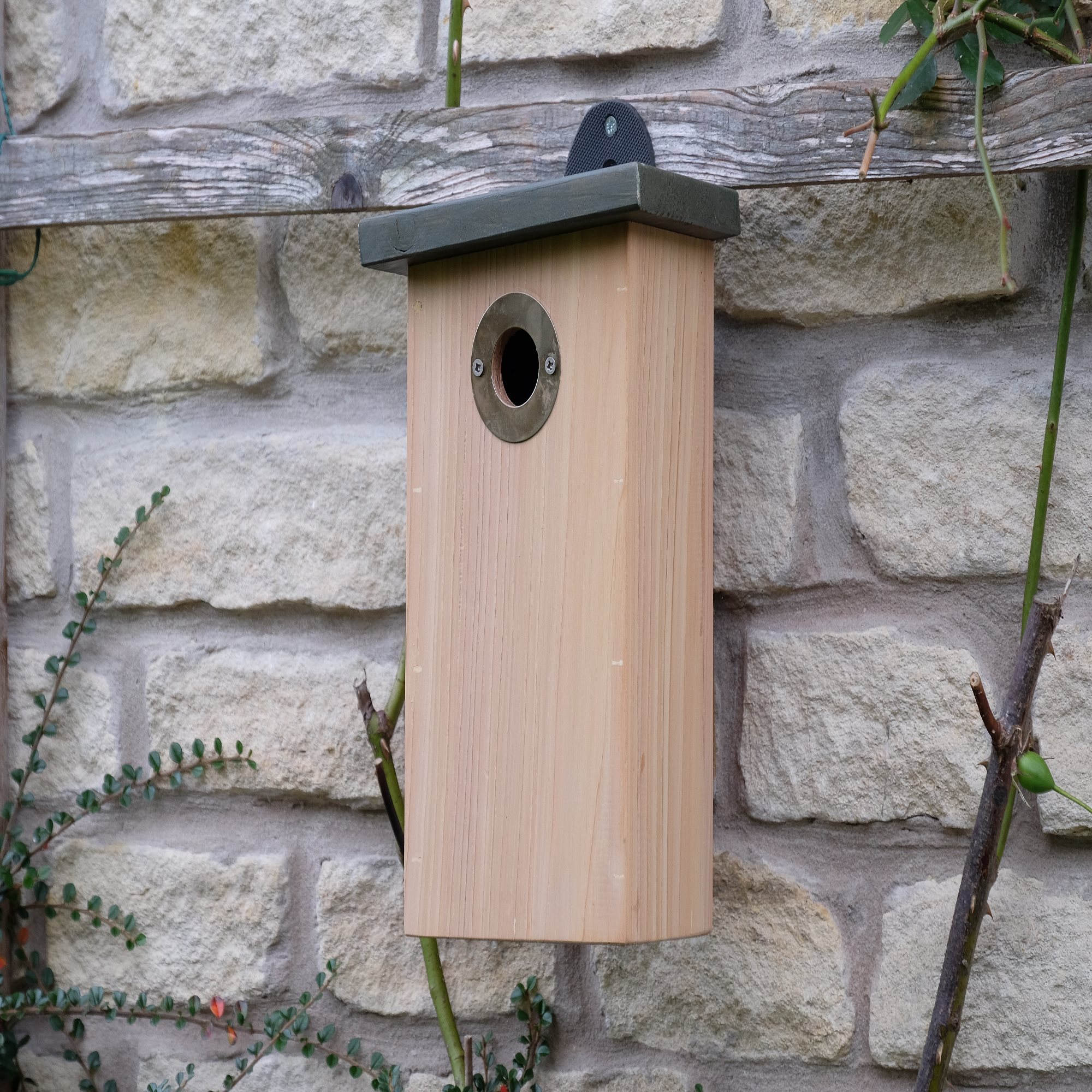 Predator Resist Nestbox Bird Box - Bird Nesting Boxes | John Chambers