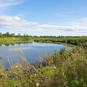 Habitat & Location-Based Wildflower Seed Mixes